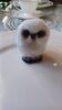 Filename=20240103_003.jpg
Filesize=180KiB
Dimensions=1152x2048
Date added=Apr 05, 2024 20240103_003.jpg