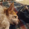 Filename=20240104_001.jpg
Filesize=624KiB
Dimensions=2048x2048
Date added=Apr 05, 2024 20240104_001.jpg