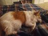 Filename=20240104_002.jpg
Filesize=472KiB
Dimensions=2048x1536
Date added=Apr 05, 2024 20240104_002.jpg
