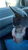 Filename=20240117_002.jpg
Filesize=215KiB
Dimensions=1152x2048
Date added=Apr 05, 2024 20240117_002.jpg