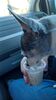 Filename=20240117_003.jpg
Filesize=237KiB
Dimensions=1152x2048
Date added=Apr 05, 2024 20240117_003.jpg