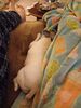 Filename=20240117_006.jpg
Filesize=474KiB
Dimensions=1536x2048
Date added=Apr 05, 2024 20240117_006.jpg