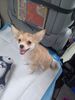 Filename=20240121_001.jpg
Filesize=365KiB
Dimensions=1536x2048
Date added=Apr 05, 2024 20240121_001.jpg