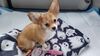 Filename=20240121_003.jpg
Filesize=390KiB
Dimensions=2048x1152
Date added=Apr 05, 2024 20240121_003.jpg
