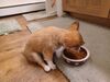 Filename=20240121_007.jpg
Filesize=389KiB
Dimensions=2048x1536
Date added=Apr 05, 2024 20240121_007.jpg