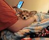 Filename=20240121_008.jpg
Filesize=421KiB
Dimensions=2047x1684
Date added=Apr 05, 2024 20240121_008.jpg