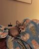 Filename=20240121_009.jpg
Filesize=666KiB
Dimensions=1472x1858
Date added=Apr 05, 2024 20240121_009.jpg