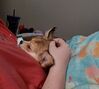 Filename=20240122_001.jpg
Filesize=450KiB
Dimensions=1678x1504
Date added=Apr 05, 2024 20240122_001.jpg