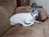 Filename=20240122_004.jpg
Filesize=535KiB
Dimensions=2048x1536
Date added=Apr 05, 2024 20240122_004.jpg