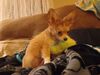 Filename=20240122_014.jpg
Filesize=303KiB
Dimensions=2048x1536
Date added=Apr 05, 2024 20240122_014.jpg
