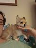 Filename=20240123_003.jpg
Filesize=274KiB
Dimensions=1536x2048
Date added=Apr 05, 2024 20240123_003.jpg