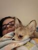 Filename=20240123_005.jpg
Filesize=291KiB
Dimensions=1536x2048
Date added=Apr 05, 2024 20240123_005.jpg