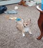 Filename=20240124_002.jpg
Filesize=1296KiB
Dimensions=1665x1835
Date added=Apr 05, 2024 20240124_002.jpg