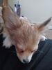 Filename=20240124_004.jpg
Filesize=276KiB
Dimensions=1536x2048
Date added=Apr 05, 2024 20240124_004.jpg