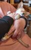 Filename=20240125_002.jpg
Filesize=321KiB
Dimensions=1263x2047
Date added=Apr 05, 2024 20240125_002.jpg