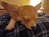 Filename=20240125_006.jpg
Filesize=312KiB
Dimensions=2048x1536
Date added=Apr 05, 2024 20240125_006.jpg