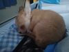 Filename=20240126_001.jpg
Filesize=276KiB
Dimensions=2048x1536
Date added=Apr 05, 2024 20240126_001.jpg