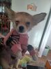 Filename=20240126_004.jpg
Filesize=237KiB
Dimensions=1536x2048
Date added=Apr 05, 2024 20240126_004.jpg