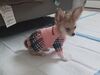 Filename=20240126_006.jpg
Filesize=391KiB
Dimensions=2048x1536
Date added=Apr 05, 2024 20240126_006.jpg