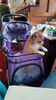 Filename=20240128_006.jpg
Filesize=463KiB
Dimensions=1152x2048
Date added=Apr 05, 2024 20240128_006.jpg