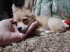 Filename=20240130_004.jpg
Filesize=395KiB
Dimensions=2048x1536
Date added=Apr 05, 2024 20240130_004.jpg