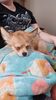 Filename=20240131_004.jpg
Filesize=328KiB
Dimensions=1152x2048
Date added=Apr 05, 2024 20240131_004.jpg