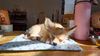 Filename=20240201_001.jpg
Filesize=340KiB
Dimensions=2048x1152
Date added=Apr 10, 2024 20240201_001.jpg