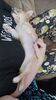 Filename=20240203_006.jpg
Filesize=346KiB
Dimensions=1152x2048
Date added=Apr 10, 2024 20240203_006.jpg