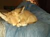 Filename=20240203_009.jpg
Filesize=689KiB
Dimensions=2048x1536
Date added=Apr 10, 2024 20240203_009.jpg