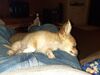 Filename=20240203_011.jpg
Filesize=493KiB
Dimensions=2048x1536
Date added=Apr 10, 2024 20240203_011.jpg