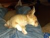 Filename=20240203_012.jpg
Filesize=581KiB
Dimensions=2048x1536
Date added=Apr 10, 2024 20240203_012.jpg