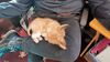 Filename=20240204_001.jpg
Filesize=353KiB
Dimensions=2048x1152
Date added=Apr 10, 2024 20240204_001.jpg