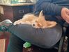 Filename=20240204_002.jpg
Filesize=469KiB
Dimensions=2048x1546
Date added=Apr 10, 2024 20240204_002.jpg