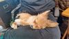 Filename=20240204_003.jpg
Filesize=376KiB
Dimensions=2048x1152
Date added=Apr 10, 2024 20240204_003.jpg