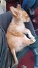Filename=20240204_004.jpg
Filesize=470KiB
Dimensions=1152x2048
Date added=Apr 10, 2024 20240204_004.jpg