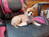 Filename=20240204_008.jpg
Filesize=303KiB
Dimensions=2048x1536
Date added=Apr 10, 2024 20240204_008.jpg