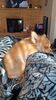 Filename=20240205_001.jpg
Filesize=416KiB
Dimensions=1152x2048
Date added=Apr 10, 2024 20240205_001.jpg