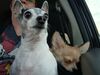Filename=20240205_005.jpg
Filesize=377KiB
Dimensions=2048x1536
Date added=Apr 10, 2024 20240205_005.jpg