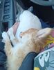 Filename=20240205_007.jpg
Filesize=271KiB
Dimensions=1599x2048
Date added=Apr 10, 2024 20240205_007.jpg