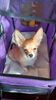 Filename=20240206_001.jpg
Filesize=478KiB
Dimensions=1152x2048
Date added=Apr 10, 2024 20240206_001.jpg