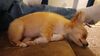 Filename=20240207_005.jpg
Filesize=356KiB
Dimensions=2048x1152
Date added=Apr 10, 2024 20240207_005.jpg