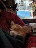 Filename=20240208_002.jpg
Filesize=477KiB
Dimensions=1536x2048
Date added=Apr 10, 2024 20240208_002.jpg