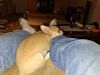 Filename=20240208_003.jpg
Filesize=732KiB
Dimensions=2048x1536
Date added=Apr 10, 2024 20240208_003.jpg