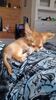 Filename=20240209_001.jpg
Filesize=432KiB
Dimensions=1152x2048
Date added=Apr 10, 2024 20240209_001.jpg
