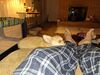 Filename=20240209_005.jpg
Filesize=632KiB
Dimensions=2048x1536
Date added=Apr 10, 2024 20240209_005.jpg