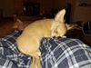 Filename=20240209_007.jpg
Filesize=701KiB
Dimensions=2048x1536
Date added=Apr 10, 2024 20240209_007.jpg