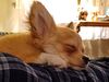 Filename=20240209_009.jpg
Filesize=317KiB
Dimensions=2048x1536
Date added=Apr 10, 2024 20240209_009.jpg