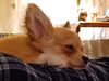 Filename=20240209_010.jpg
Filesize=315KiB
Dimensions=2048x1536
Date added=Apr 10, 2024 20240209_010.jpg