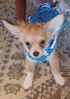 Filename=20240210_001.jpg
Filesize=310KiB
Dimensions=1446x2047
Date added=Apr 10, 2024 20240210_001.jpg