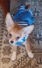 Filename=20240210_002.jpg
Filesize=362KiB
Dimensions=1284x2047
Date added=Apr 10, 2024 20240210_002.jpg